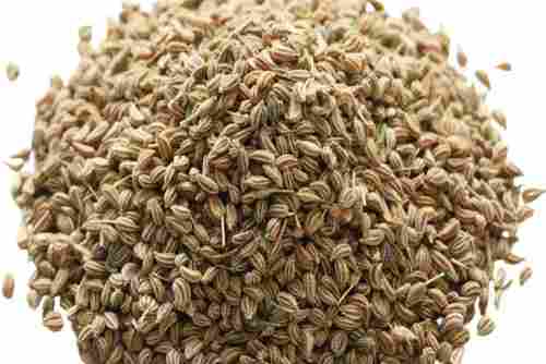 99% Pure Commonly Cultivated Edible Spices Ajwain Seeds With 12 Months Shelf Life