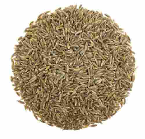 Delicious Dried Raw Rich And Hearty Earthy Taste Organic Cumin Seeds