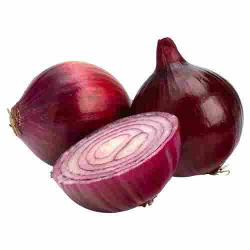 Natural Fresh Onion For Cooking Use
