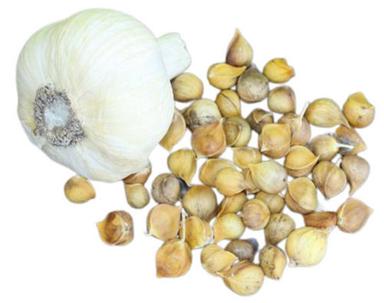 Yellow A Grade Indian Origin 98% Pure Commonly Cultivation Dried Garlic Seed