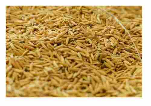 99% Pure A Grade Dried Raw Rice Bran