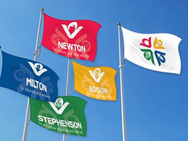 Semi-Stitched Wash And Tear Colored Printed School Flags