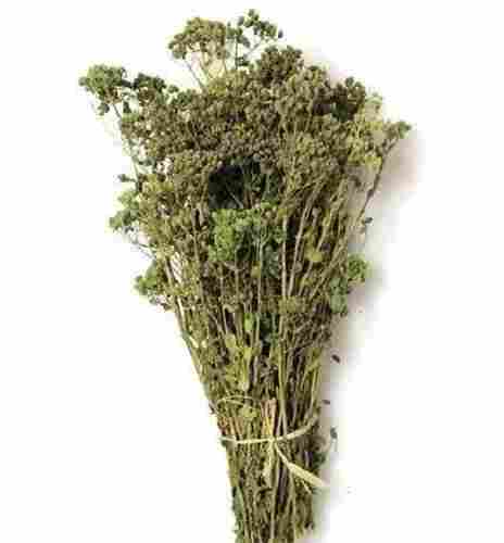 100% Natural And Organic Dried Oregano Leaves With 2 Year Shelf Life