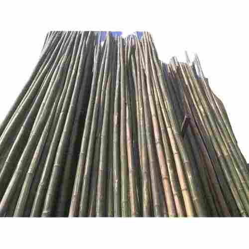 15 Feets Eco Friendly Biodegradable Classic Natural Stackable Bamboo Pole