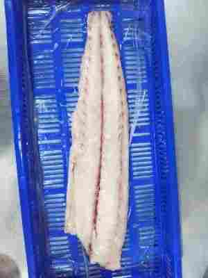 Frozen Boneless Indian Basa Fish Fillet