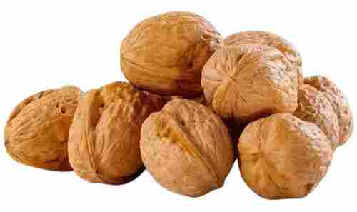 Dried And Natural Common Cultivation Protein Rich Walnut