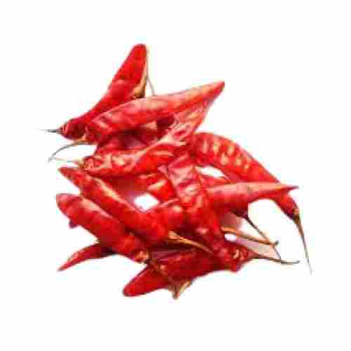 Hygienically Packed Common Cultivation Spicy Red Chilli