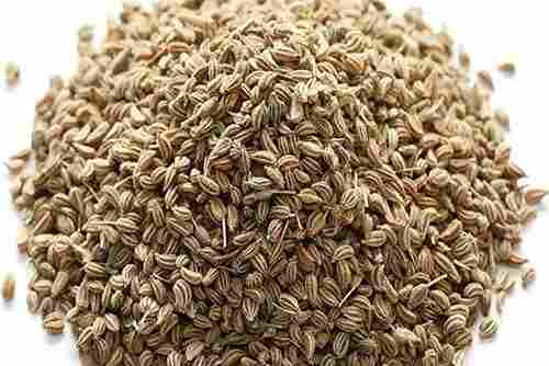 Natural Sun Dried Ajwain Seeds For Cooking Use