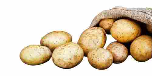 Good For Health Pesticide Free Brown Oval Farm Fresh Potato