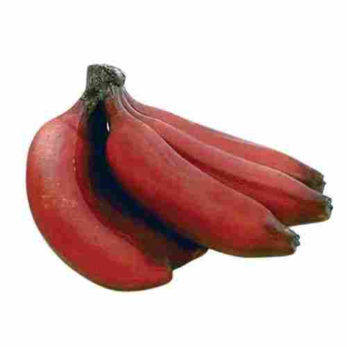 Tasty Long Shape Sweet Fresh Red Banana
