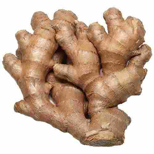 Natural And No Artificial Flavored Fresh Organic Ginger 