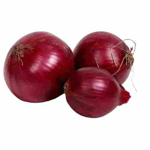 Pure And Natural Fresh Raw Spherical Onion For Cooking