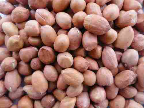 Raw And Sweet Flavor Commonly Cultivated Groundnut Kernel