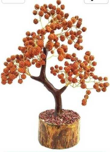 Durable Brown Rudrakha Beads Tree For Religious And Spiritual Use