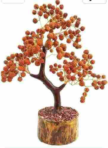 Brown Rudrakha Beads Tree For Religious And Spiritual Use