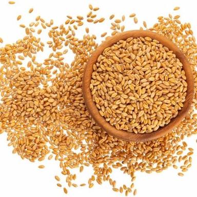 Natural Cultivation Golden Brown Raw Wheat Grains