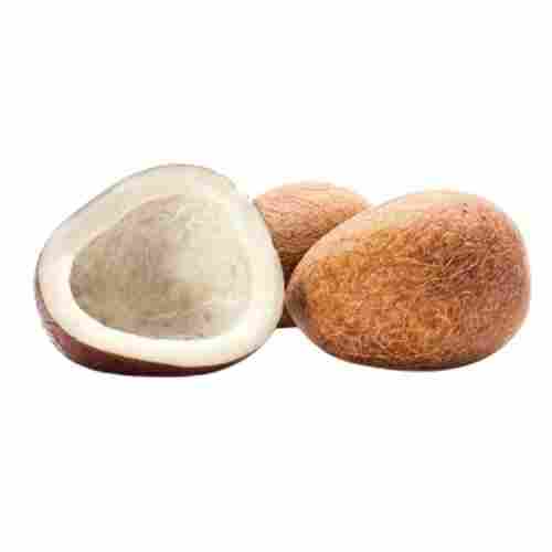Premium Quality Natural Round Shape Dried Coconut Copra