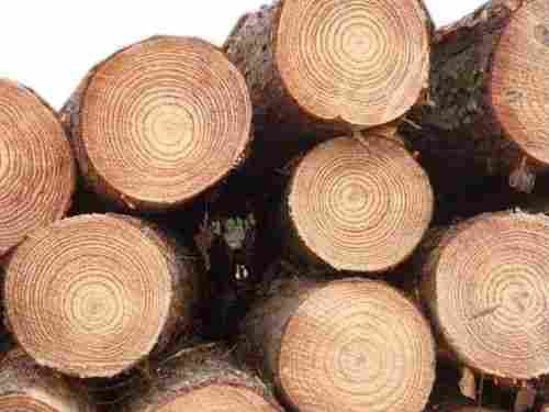 990 Kg/M3 Termite Resistance Round Solid Pine Wood Logs