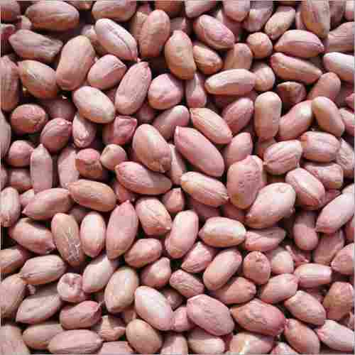 A Grade And Indian Origin Peanut Kernels
