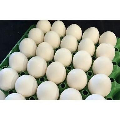 Healthy Oval Fresh Organic Poultry Farm Hatching Chicken Eggs Egg Size: 55.8 Mm