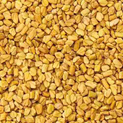 Natural Pure Organic High-Quality Fenugreek Seeds For Cultivation