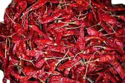 Dried Raw Long Shape Red Chilli