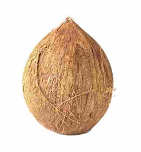 Medium Size Organic And Fresh Semi Husked Coconut With 1 Month Shelf Life