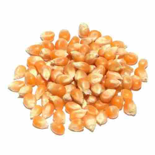 Yellow 100% Pure Dried Maize