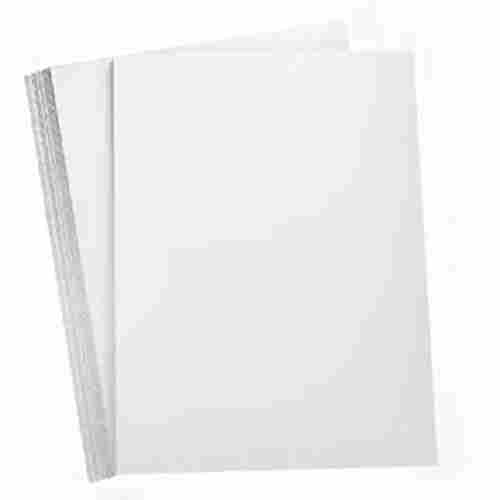 12 X 18.5 Inch Size Glossy Finished Laser Photo Paper With Shelf Adhesive 