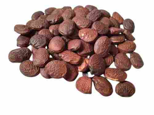 99% Pure Organic Common Cultivation Pongamia Seed