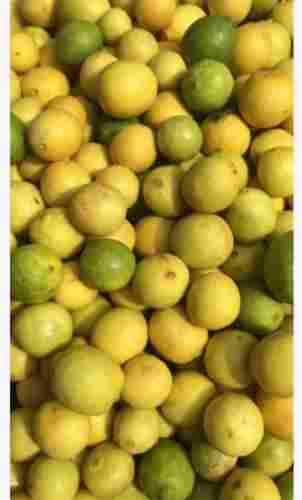 95% Maturity Fresh and Natural Organic Lemon