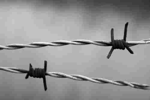 Galvanized Iron Barbed Wire For Security Purpose Use