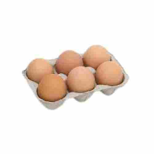 Brown Hatching Poultry Chicken Fresh Egg