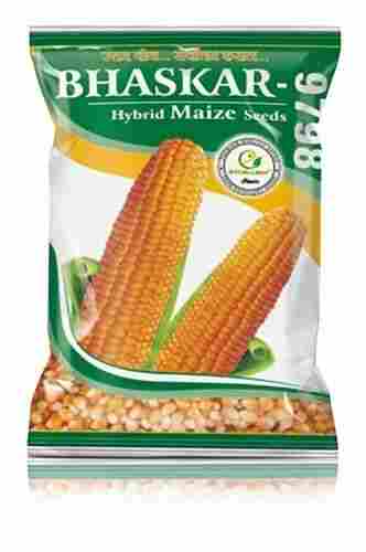 200 Grams Commonly Cultivated Pure And Dried Hybrid Maize Seeds