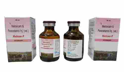 Meloxicam Paracetamol Injection For Veterinary