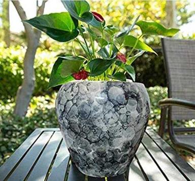 12 X 9 Inch Print Ceramic Garden Pot For Indoor And Outdoor Decoration
