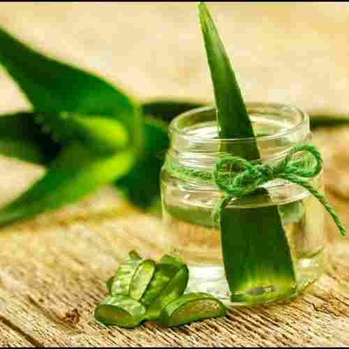 Aloe Vera Extract For Herbal Use