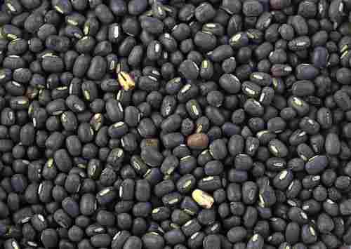 Whole Black Gram (Urad Beans)