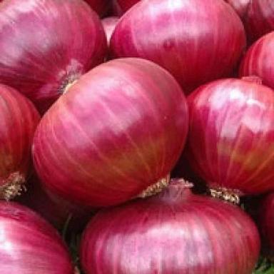 Organic Onion For Cooking And Human Consumption