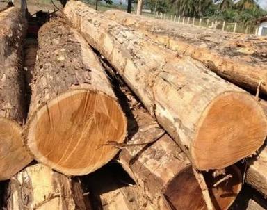 Eco Friendly Teak Wood Logs