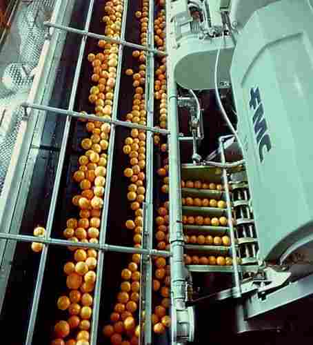 Heavy Duty Industrial Fruit Processing Machinery