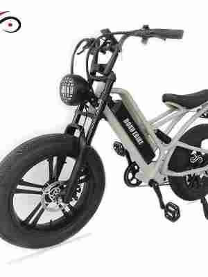Heat Resistance Easy To Ride Electric Bike