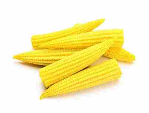 No Preservatives Canned Baby Corn Good For Health