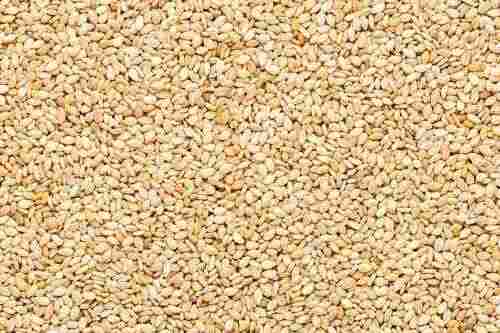 Brown Fenugreek Seed Good For Health