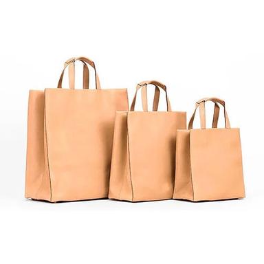 Brown Paper Carry Bag For Shopping Use