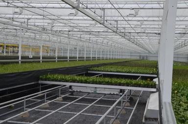 Polycarbonate Greenhouse For Agriculture And Horticulture Use