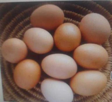 Brown Eggs For Bakery And Human Consumption