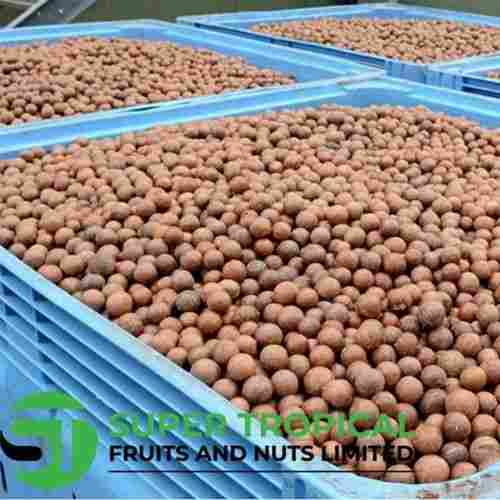 Super Tropical Dried Macadamia Nuts