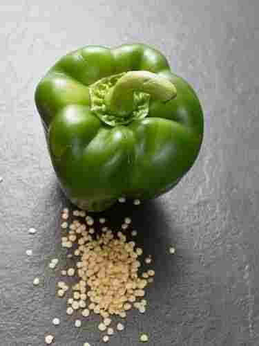 Organic Dried Green Capsicum Seed For Agriculture