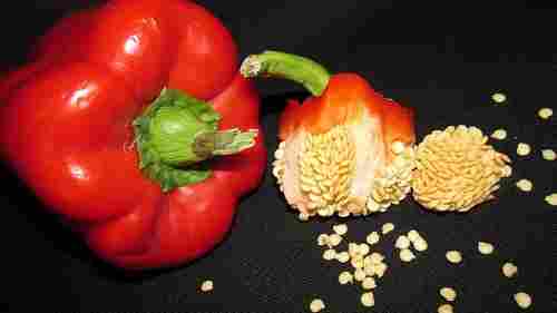 Organic Dried Red Capsicum Seeds For Agriculture